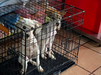 Negocio Accesorios Y Estética Canina Luna