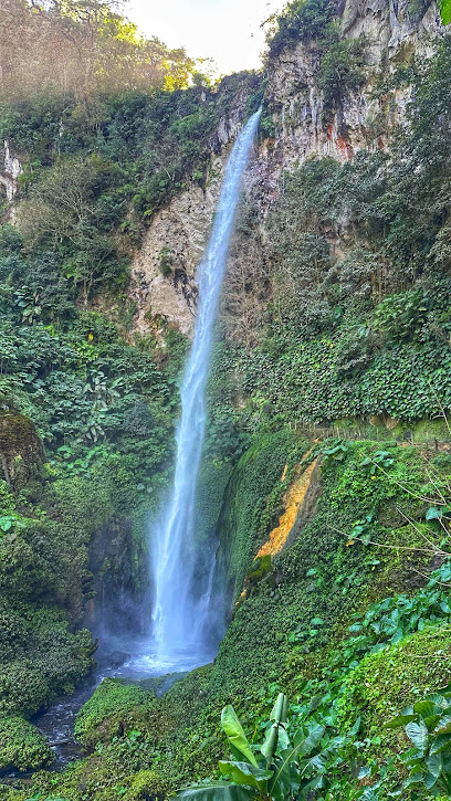 Agua Caliente