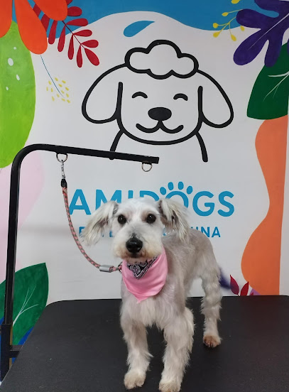 Amidogs Estética Canina