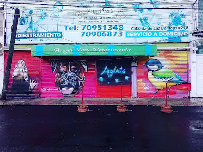 Ángel Vet´s Pet Hospital Coapa