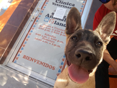 Negocio Animal Land