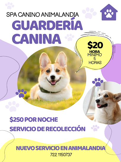 Animalandia