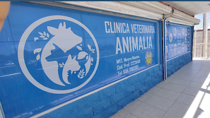 Animalia Clinica Y Farmacia Veterinaria