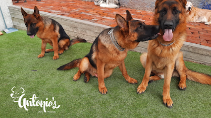 Antonio&Apos;S Dog House