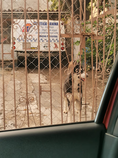 Av Estetica Canina Y Medicina Preventiva