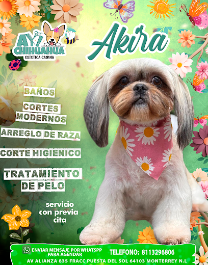 Negocio Ay! Chihuahua Estética Canina