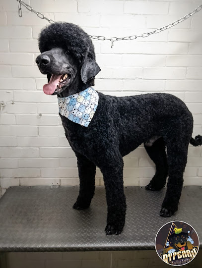 Ay Perro Estética Canina Cdmx