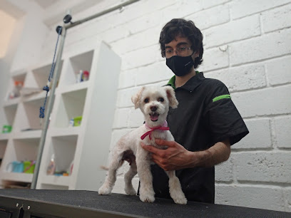 Azumi Pets