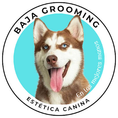 Negocio Baja Grooming &Amp; Estética Canina