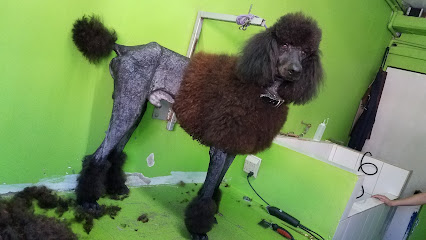 Baja Pet Grooming