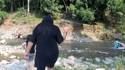 Negocio Balneario La Joya