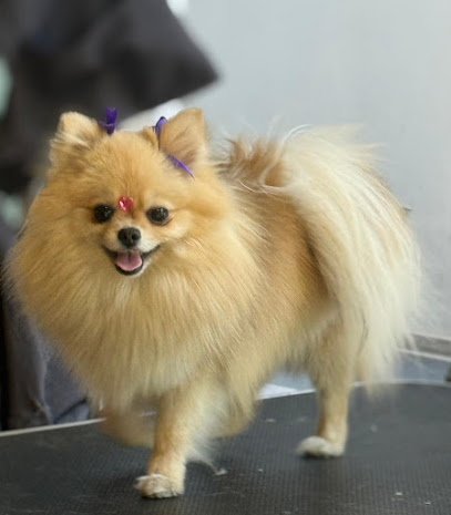 Barbacan Spa &Amp; Pet Shop - Lago Alberto - (Edificio Vitant Polanco)
