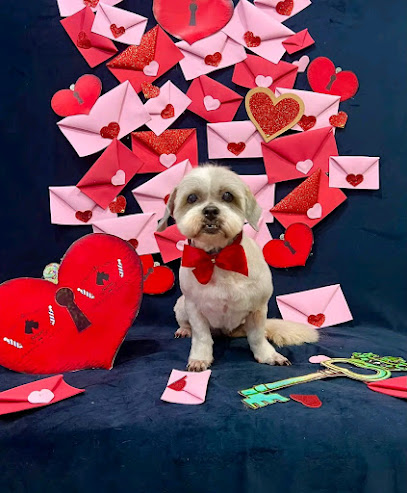 Negocio Batani Barbería Canina
