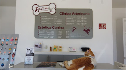 Bayliss Veterinaria Villas