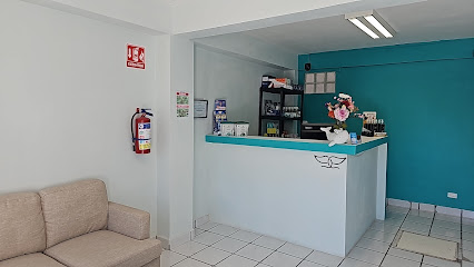 Negocio Beluga Consultorio Veterinario