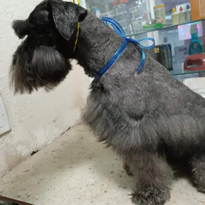 Best Buddies Grooming Spa &Amp; Boutique