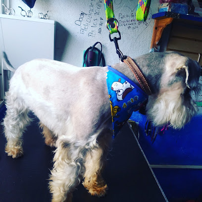 Negocio Bevichos Veterinaria Y Estetica Canina