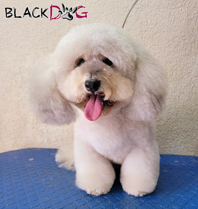 Negocio Blackdog Ensenada
