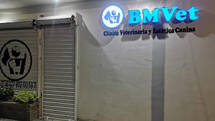 Negocio Bmvet