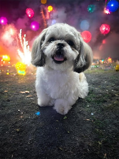 Negocio Bubbles Pet Spa