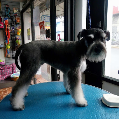 Cancˋs Estetica Canina