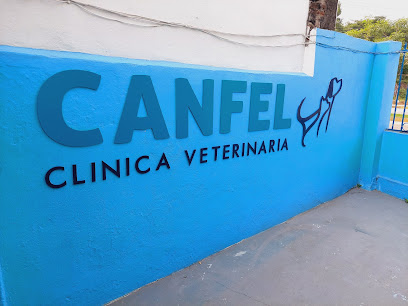 Negocio Canfel