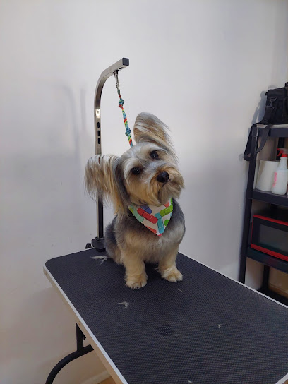 Canifornia Pet Shop &Amp; Spa