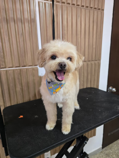Negocio Canina Dog Grooming