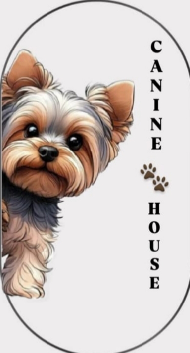 Negocio Canine House