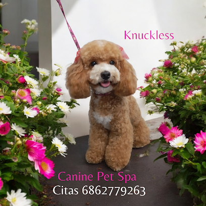 Canine Pet Spa