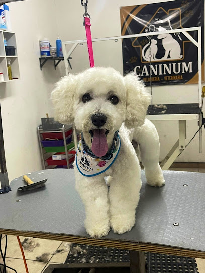 Caninum PeluquerĂa - Veterinaria