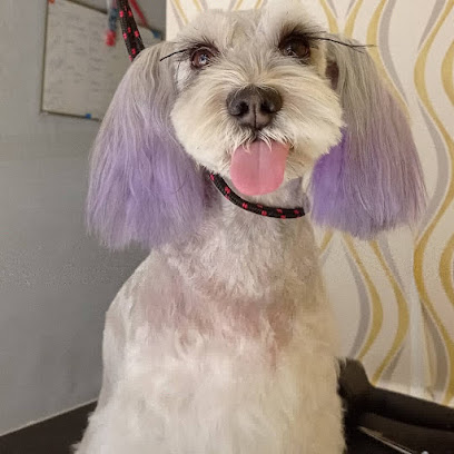 Canys Spa Dog Grooming