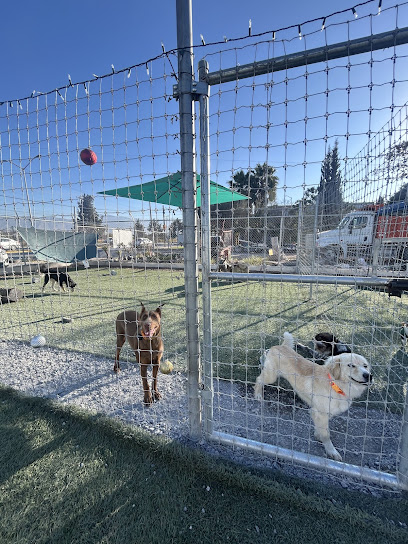 Casa Canina GuarderĂa Y Hotel De Perros