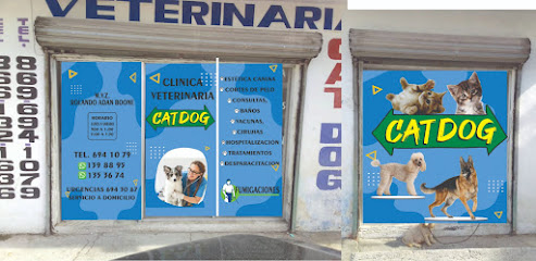 Cat Dog