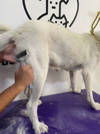 Cenivetpr Grooming