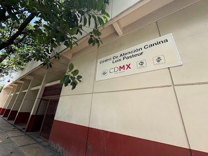 Centro De Atención Canina Luis Pasteur
