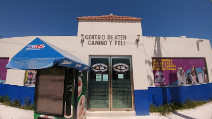 Negocio Centro De Atención Canino Y Felino Carmen