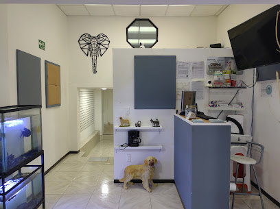 Centro Veterinario
