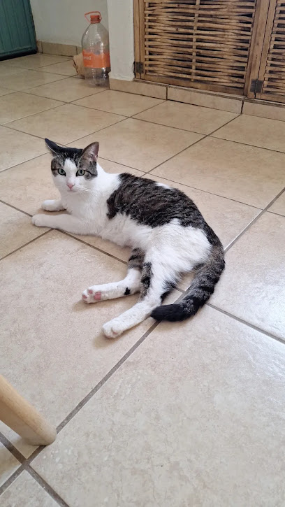 Negocio Centro Veterinario Ani-Malitos Sucursal Ts
