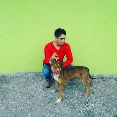 Centro Veterinario Anpe