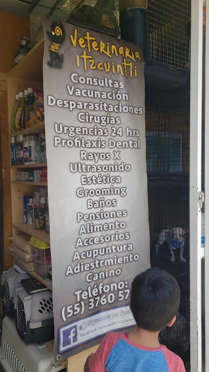 Centro Veterinario Itzcuintli