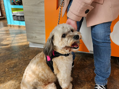 Negocio Centro Veterinario Kansas