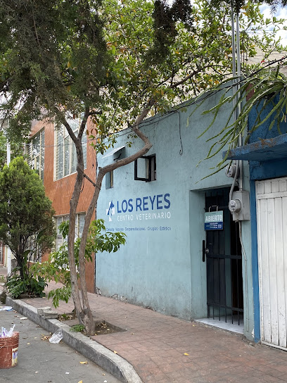 Negocio Centro Veterinario Los Reyes