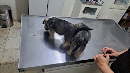 Negocio Centro Veterinario Maya Peek&Apos;