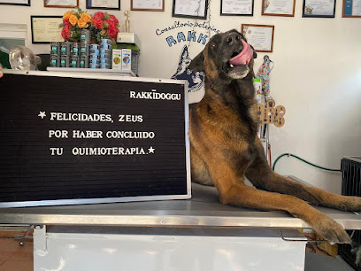 Centro Veterinario Rakkidoggu
