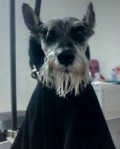 Centro Veterinario Reynosa