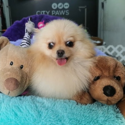 City Paws