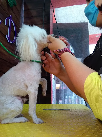 Negocio Clean Dog Estética Canina