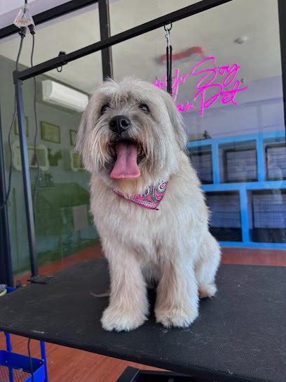Negocio Clean Pet