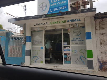 Cli Vet Mi Pequeño Dragón